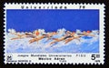 Postage stamp Mexico, 1979. Competitive swimmer