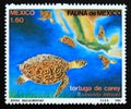 Postage stamp Mexico, 1982. Hawksbill Turtle Eretmochelys imbricata