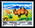 Postage stamp Mongolia 1982. Bactrian Camel Camelus bactrianus in Gobi Desert