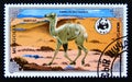 Postage stamp Mongolia, 1985. Bactrian Camel Camelus bactrianus