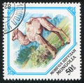 Postage stamp