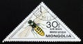 Postage stamp Mongolia, 1980. European Yellow Jacket wasp Paravespula germanica insect