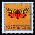 Postage stamp Mongolia, 1974. Hebe Tiger Moth Arctia hebe butterfly