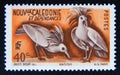 Postage stamp New Caledonia, 1948. Kagu Rhynochetos jubatus bird