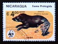 Postage stamp Nicaragua, 1984. Baird`s Tapir Tapirus bairdii Adult and Juvenile