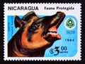 Postage stamp Nicaragua, 1984. Baird`s Tapir Tapirus bairdii animal