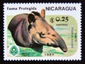 Postage stamp Nicaragua, 1984. Baird`s Tapir Tapirus bairdii animal