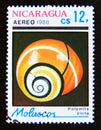 Postage stamp Nicaragua, 1988. Cuban Land Snail Polymita picta shell