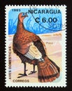 Postage stamp Nicaragua 1985. Domesticated Turkey Meleagris gallopavo