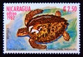 Postage stamp Nicaragua, 1982. Hawksbill sea turtle Eretmochelys imbricata reptile animal Royalty Free Stock Photo