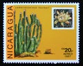 Postage stamp Nicaragua, 1987. Lemaireocereus thurberi cactus plant Royalty Free Stock Photo