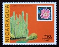 Postage stamp Nicaragua, 1987. Lophocereus schottii cactus plant Royalty Free Stock Photo