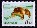 Postage stamp North Korea, 1974. American Bullfrog Rana catesbeiana frog Royalty Free Stock Photo