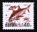 Postage stamp North Korea, 1995. Atlantic Bluefin Tuna Thunnus thynnus fish