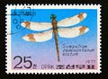 Postage stamp North Korea, 1977. Banded Darter Sympetrum pedemontanum elatum dragonfly