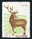 Postage stamp Royalty Free Stock Photo