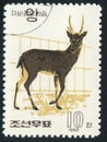 Postage stamp Royalty Free Stock Photo