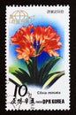 Postage stamp North Korea, 1989. Clivia miniata flower Royalty Free Stock Photo