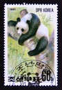 Postage stamp North Korea, 1991. Giant Panda Ailuropoda melanoleuca