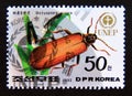 Postage stamp North Korea, 1992. Golden Net winged Beetle Dictyoptera aurora insect