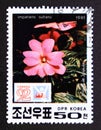 Postage stamp North Korea, 1991. Impatiens walleriana flower Royalty Free Stock Photo