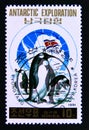 Postage stamp North Korea, 1991. King Penguin Aptenodytes patagonicus