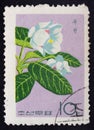 Postage stamp North Korea Royalty Free Stock Photo