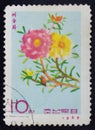 Postage stamp North Korea Royalty Free Stock Photo