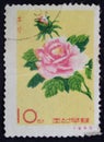 Postage stamp North Korea Royalty Free Stock Photo