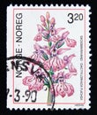 Postage stamp Norway 1990. Dactylorhiza fuchsii Common Spotted Orchid flower Royalty Free Stock Photo