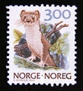 Postage stamp Norway 1989. Stoat Ermine Mustela erminea weasel