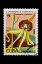A postage stamp
