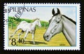 Postage stamp Philippines 1985. Gray Horse breed Equus ferus caballus