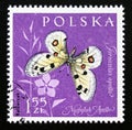 Postage stamp Poland, 1961. Apollo Parnassius apollo butterfly