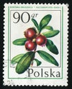 Postage stamp