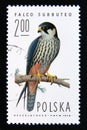 Postage stamp Poland, 1975. Eurasian Hobby Falco subbuteo bird of prey