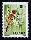 Postage stamp Poland, 1988. Four spotted Chaser dragonfly Libellula quadrimaculata insect