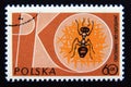 Postage stamp Poland, 1961. Initials, Ant insect