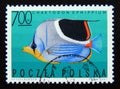 Postage stamp Poland, 1967. Saddle Butterflyfish Chaetodon ephippium Royalty Free Stock Photo