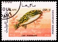 Postage stamp printed in Afghanistan shows Eyespot Puffer (Tetraodon biocellatus), Fish serie, circa 1986 Royalty Free Stock Photo