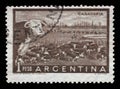 Stamp printed in Argentina shows a heard of beef cattle in the Argentinean walking through a gate in a fence