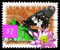 Postage stamp printed in Australia shows Big Greasy (Cressida cressida), Blue Waterlilly (Nymphaea violacea, Flora and Fauna serie Royalty Free Stock Photo
