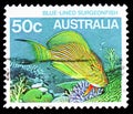 Postage stamp printed in Australia shows Blue-lined Surgeonfish Acanthurus lineatus, Sea Life serie, circa 1986