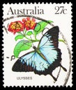 Postage stamp printed in Australia shows Mountain Swallowtail (Papilio ulysses), Butterflies serie, circa 1983 Royalty Free Stock Photo