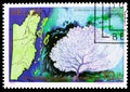 Postage stamp printed in Belize shows Purple Sea Fan (Gorgonia ventalina), 1st anniversary of Independence serie, circa 1982 Royalty Free Stock Photo