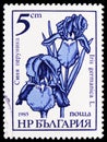 Postage stamp printed in Bulgaria shows Iris germanica, Garden Flowers serie, circa 1985