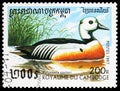 Postage stamp printed in Cambodia shows Steller's Eider (Somateria stelleri), Ducks serie, circa 1997