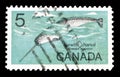 Postage stamp printed by Canada