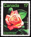 Postage stamp printed in Canada shows Les Floralies de MontrÃÂ©al, The Montreal Rose, circa 1981