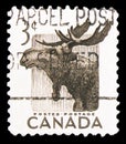 Postage stamp printed in Canada shows Moose Alces alces, National Wild Life Week serie, circa 1953